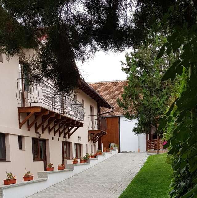 Дома для отпуска Casa Bunicilor Gîrbova-19